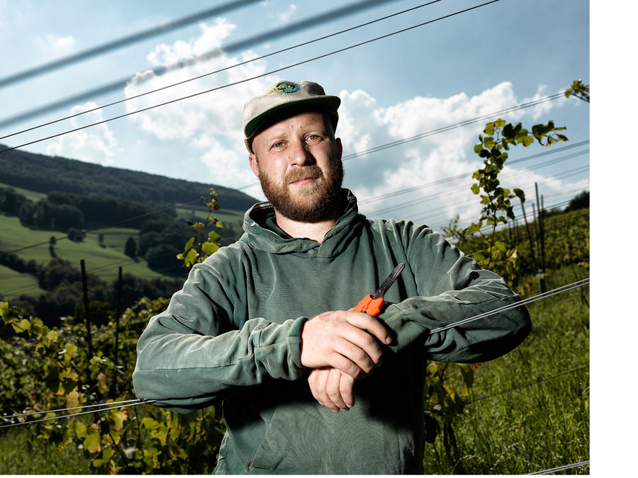 Weingut Tom Litwan