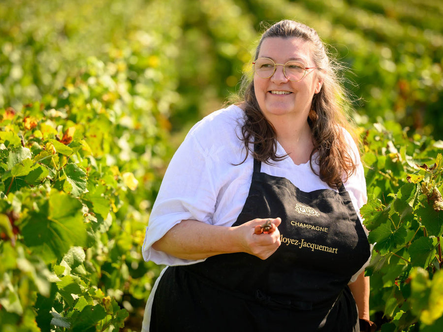 Weingut Champagne Ployez-Jacquemart