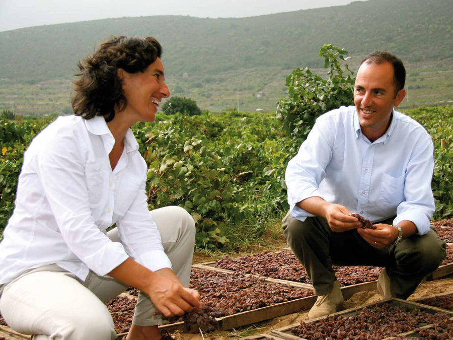 Weingut Donnafugata