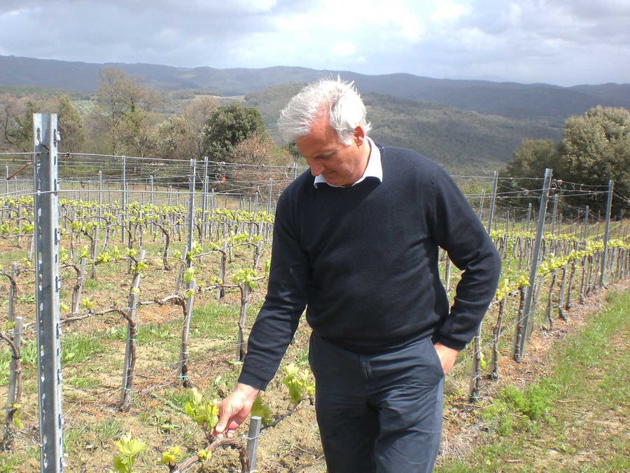 Weingut Urlari