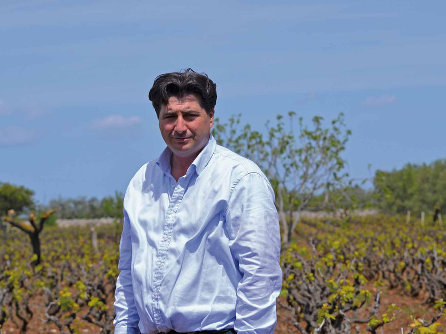 Weingut Chiaromonte