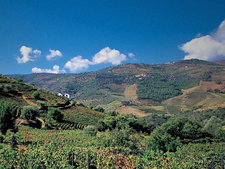 Weingut Warre's