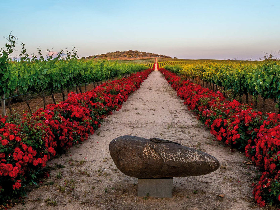 Weingut Reynolds Wine Growers