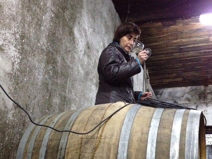 Weingut Filipa Pato & William Wouters