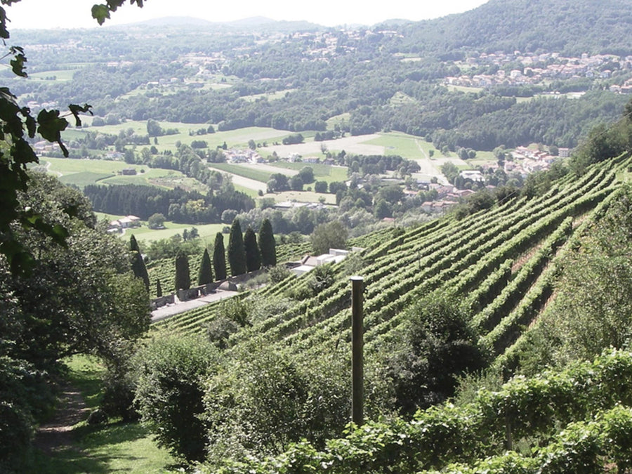 Weingut Fumagalli
