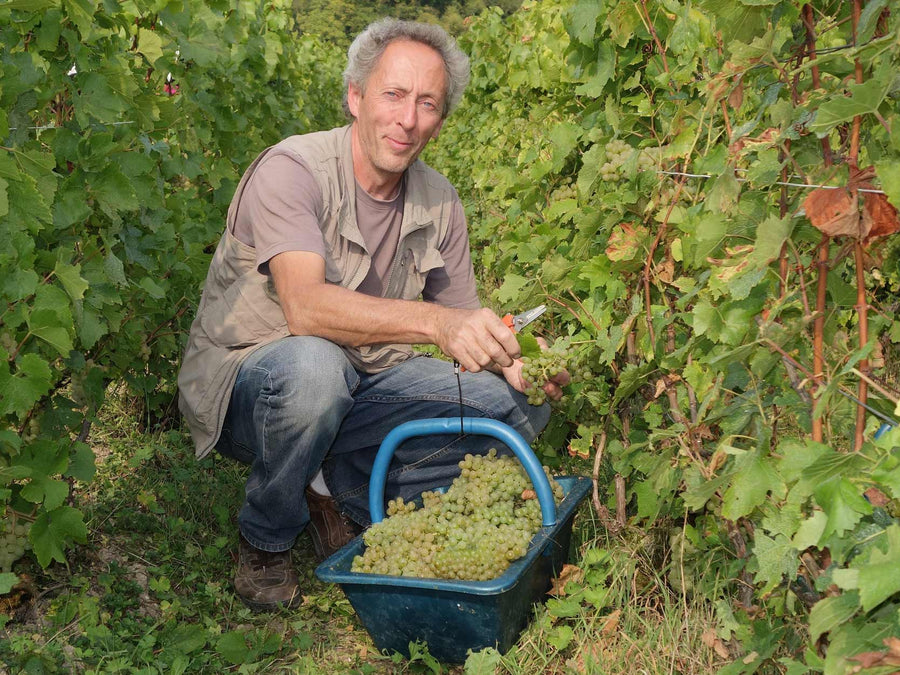 Weingut Champagne Pascal Doquet