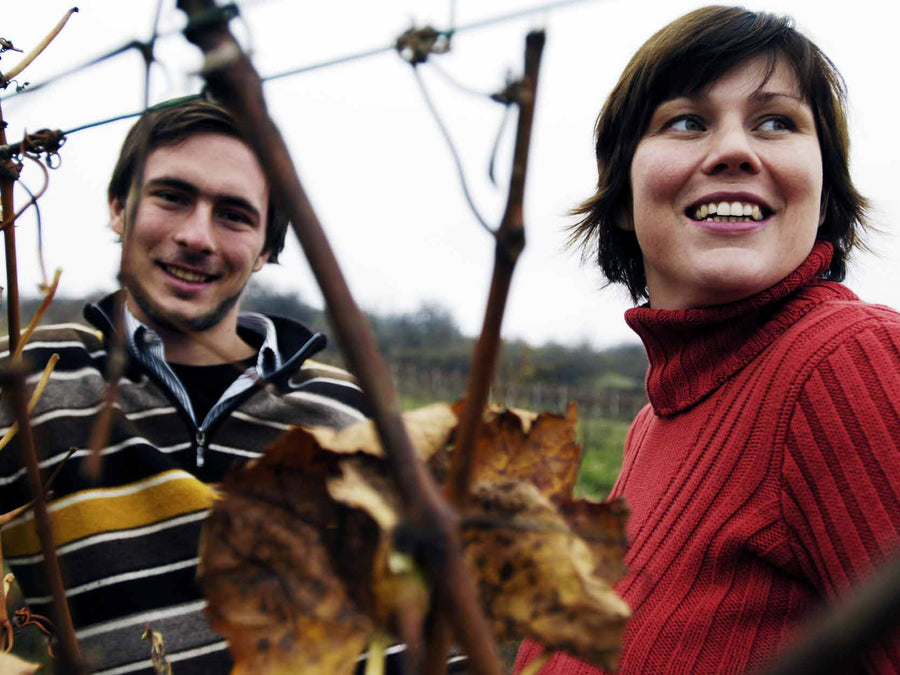 Weingut Weingut Prieler