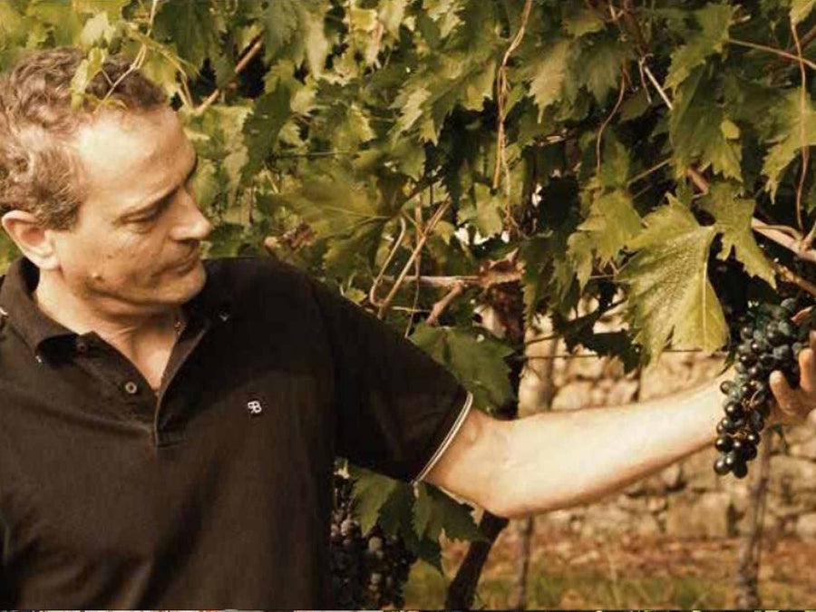 Weingut Nicolis