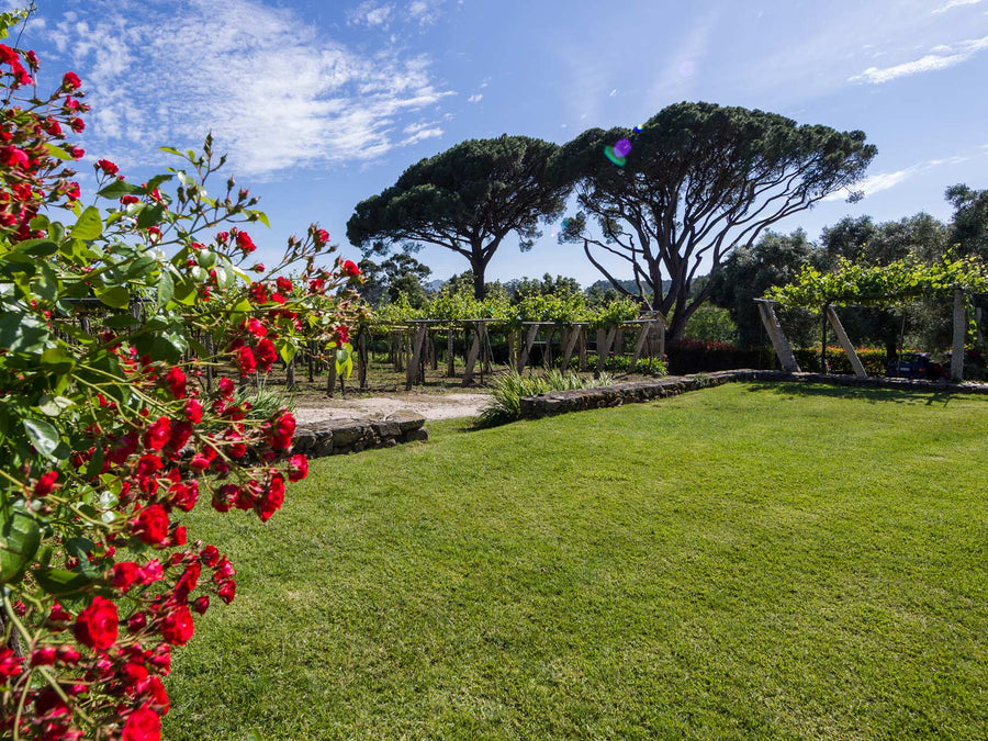 Weingut Quinta de Couselo