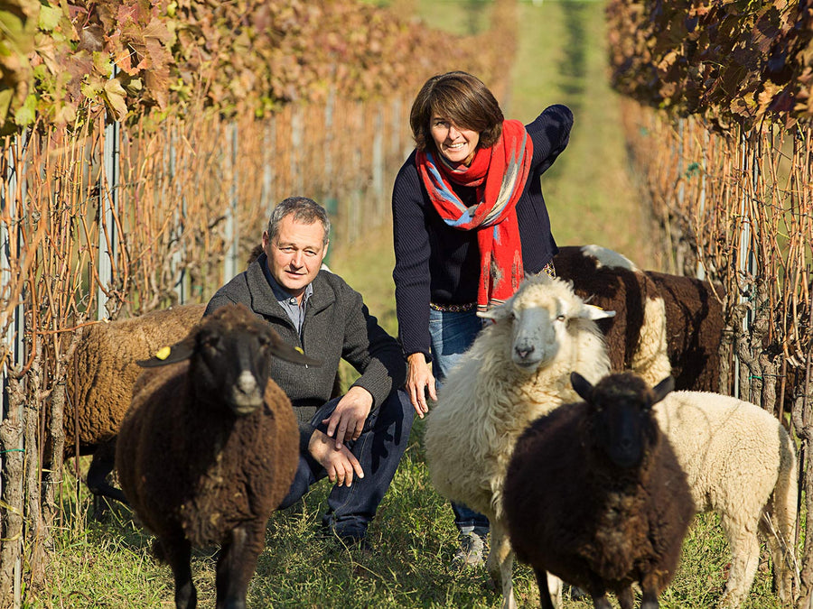 Weingut Weingut Heinrich