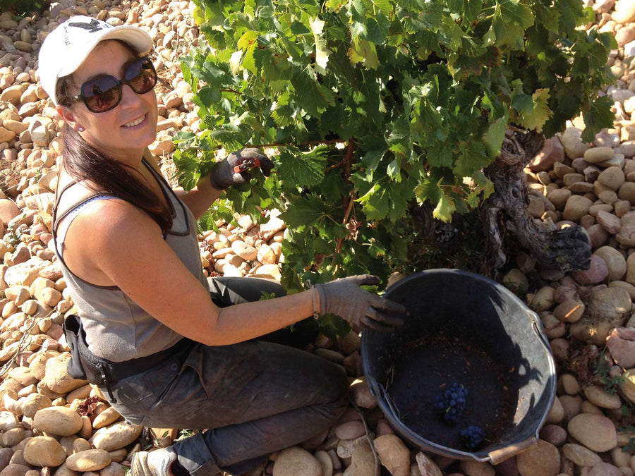 Weingut Domaine du Pégau