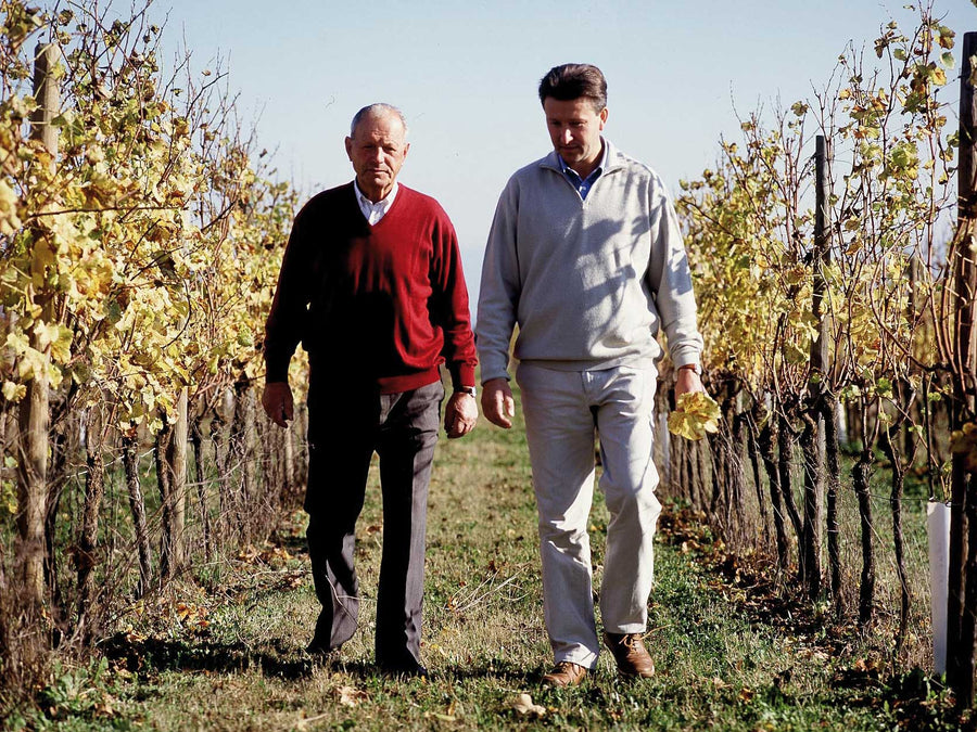 Weingut Vie di Romans