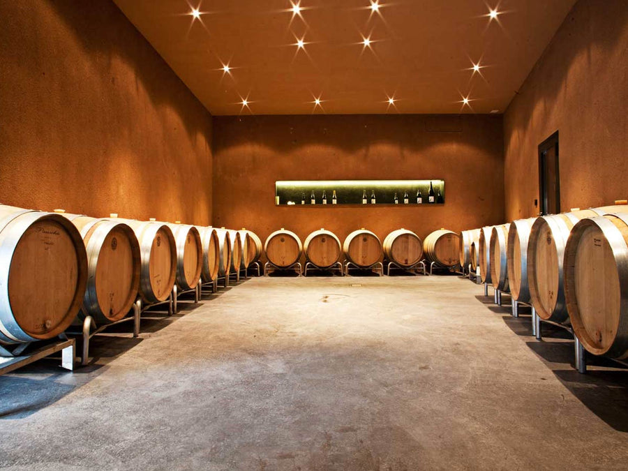 Weingut Jann Marugg