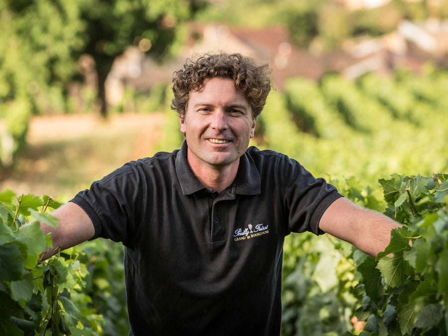 Weingut Eric Forest