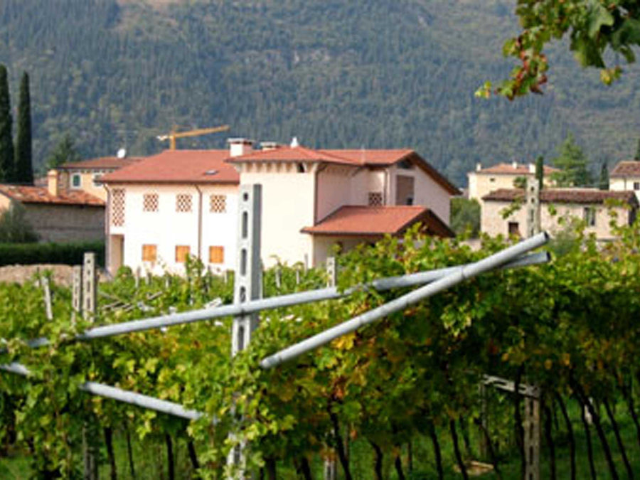 Weingut Le Bertarole