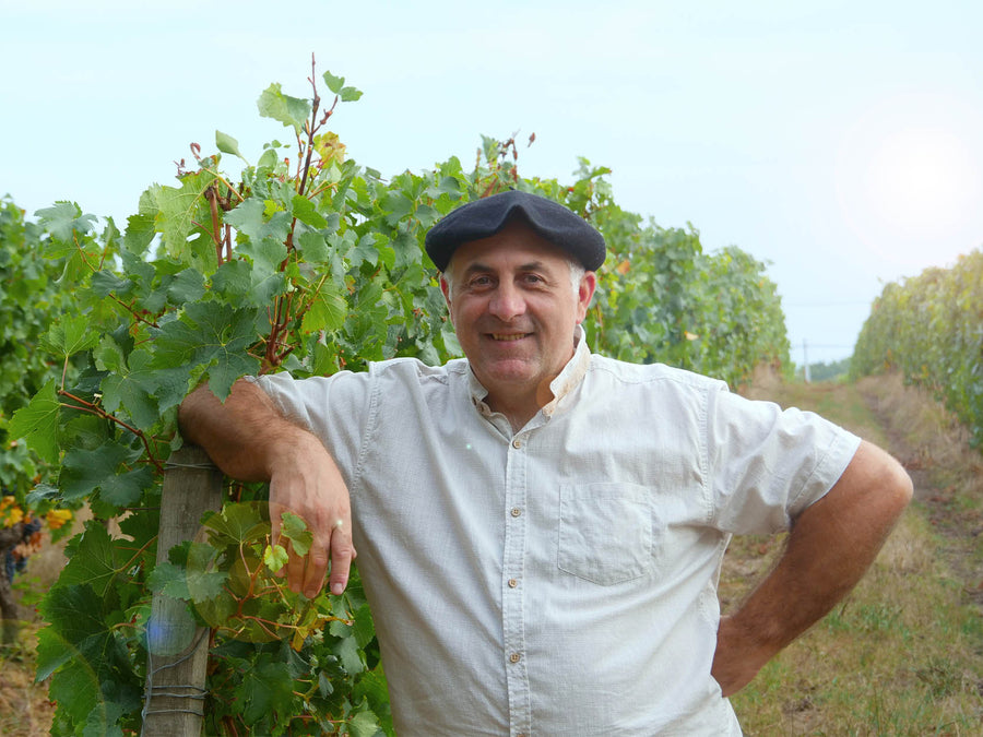 Weingut Château Clos Séric