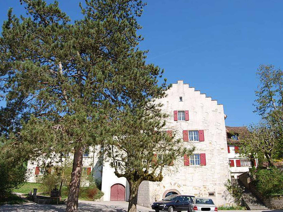 Weingut Bad Osterfingen