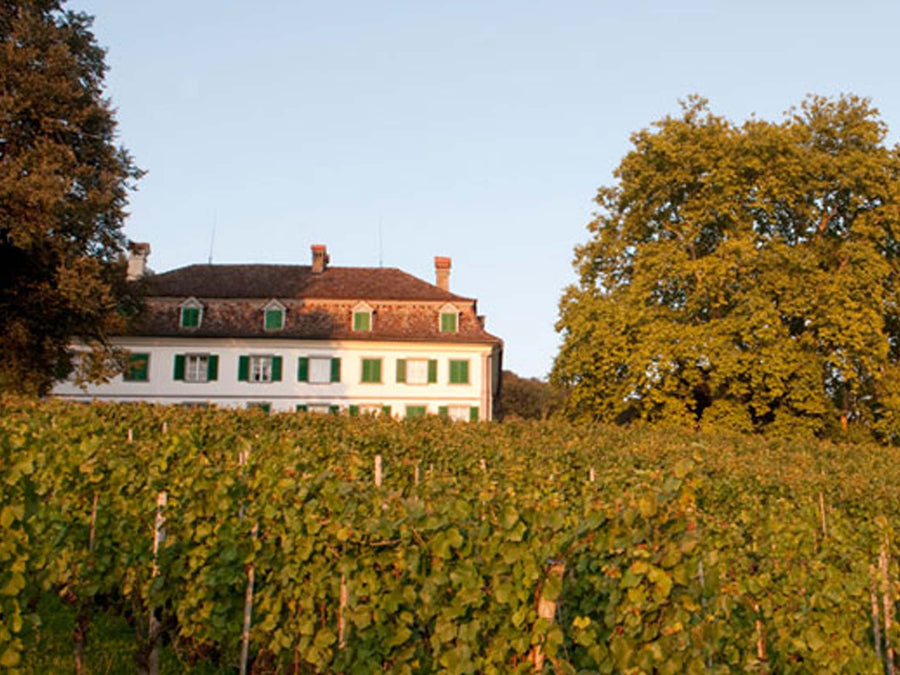 Weingut Schlossgut Bachtobel
