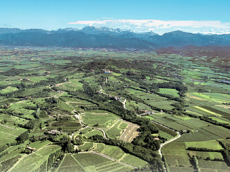 Weingut Ca' Vittoria