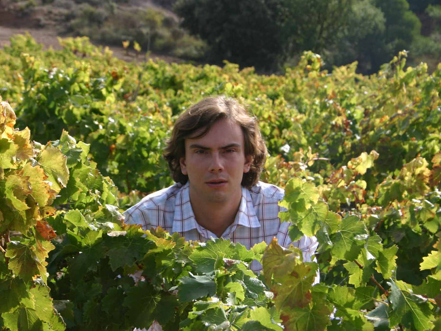 Weingut Bodegas Obergo