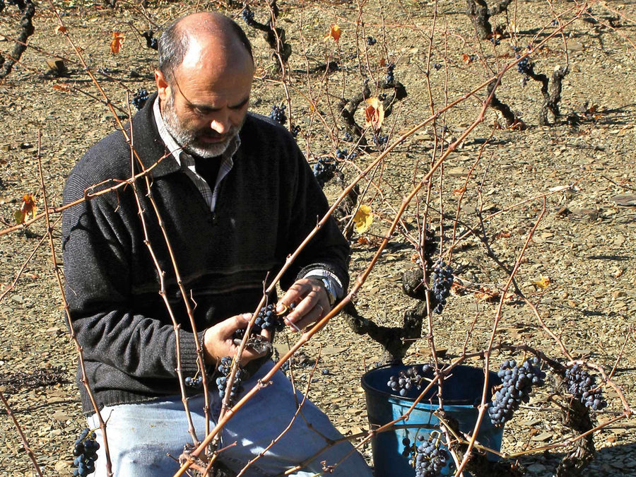 Weingut Alvarez Duran