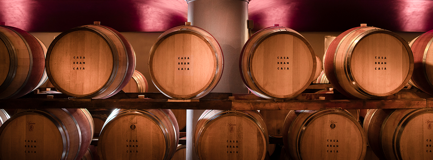Weinfässer im Keller vom Weingut Brancaia – Weine online kaufen bei Vinothek Brancaia